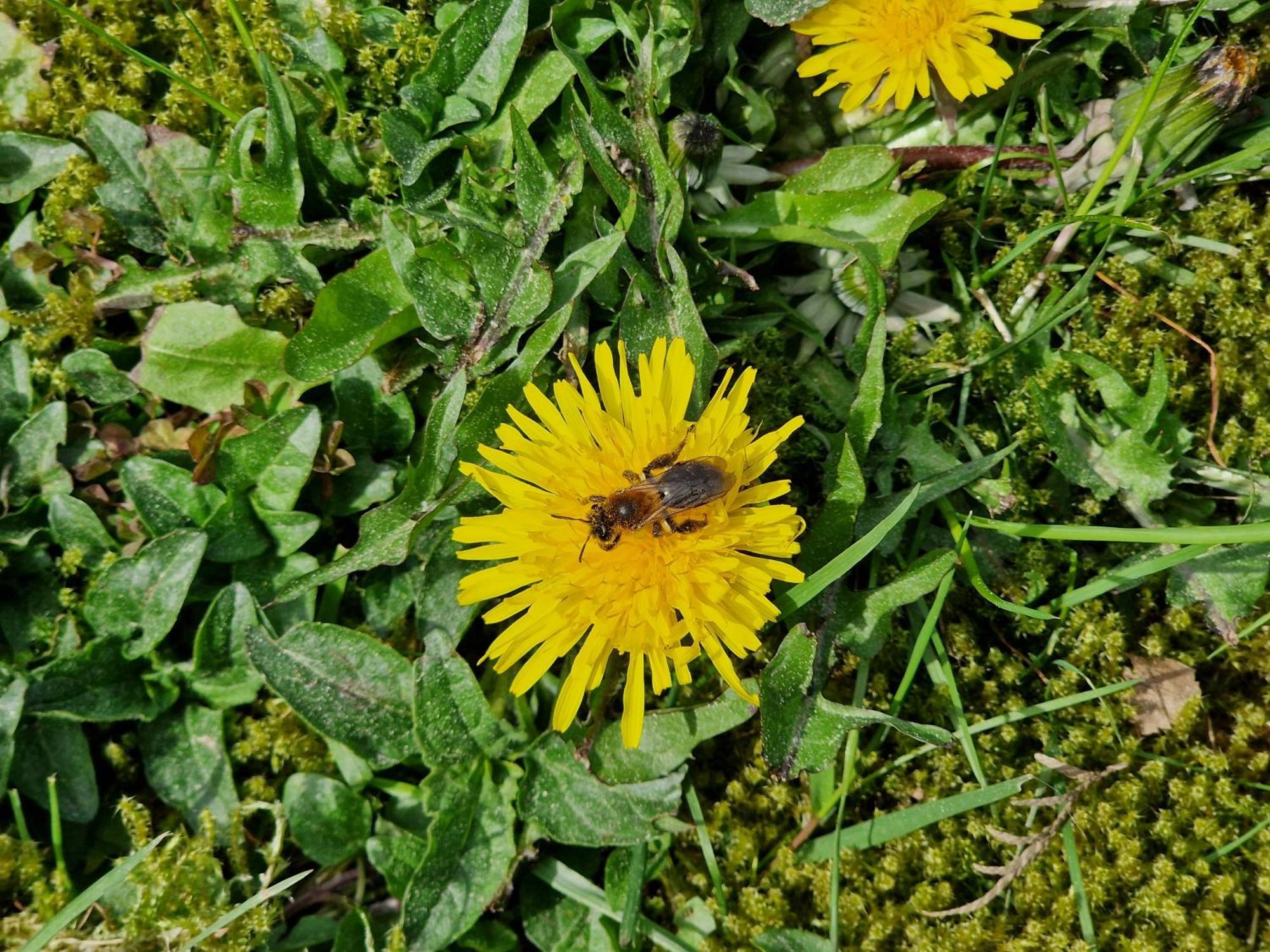 Wohnung Adlerhorst In Eversen-Heide Bagian luar foto